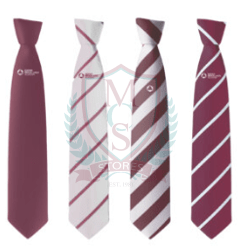 School Tie (Clip-on with Logo)